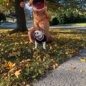 Meet your Posher, Domitilo